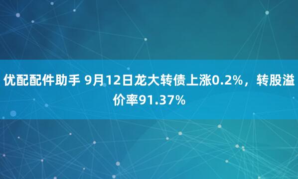优配配件助手 9月12日龙大转债上涨0.2%，转股溢价率91.37%