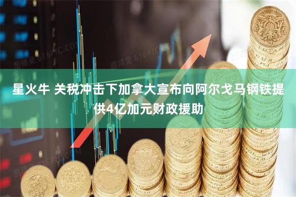 星火牛 关税冲击下加拿大宣布向阿尔戈马钢铁提供4亿加元财政援助