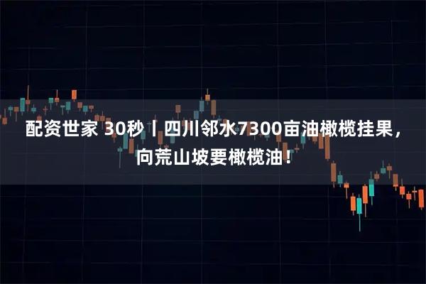 配资世家 30秒丨四川邻水7300亩油橄榄挂果，向荒山坡要橄榄油！