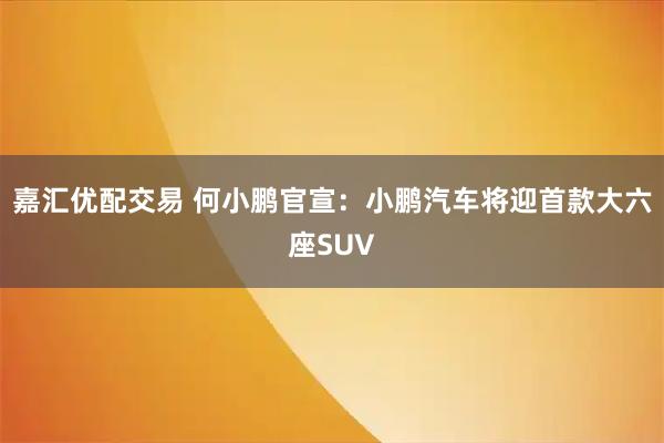 嘉汇优配交易 何小鹏官宣：小鹏汽车将迎首款大六座SUV