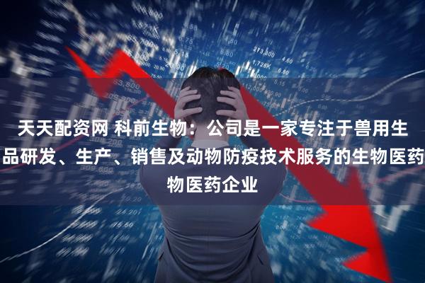 天天配资网 科前生物：公司是一家专注于兽用生物制品研发、生产、销售及动物防疫技术服务的生物医药企业