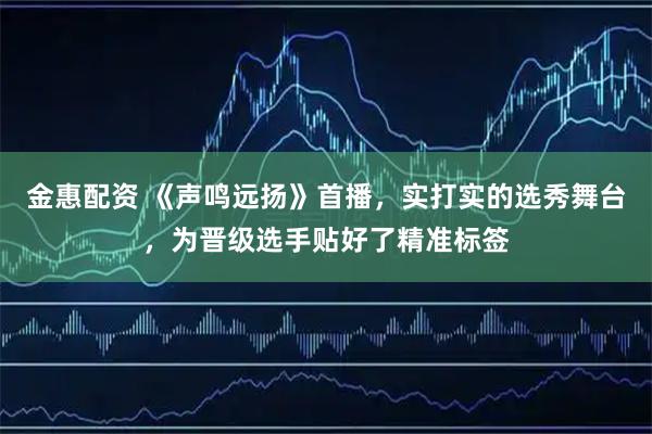 金惠配资 《声鸣远扬》首播，实打实的选秀舞台，为晋级选手贴好了精准标签